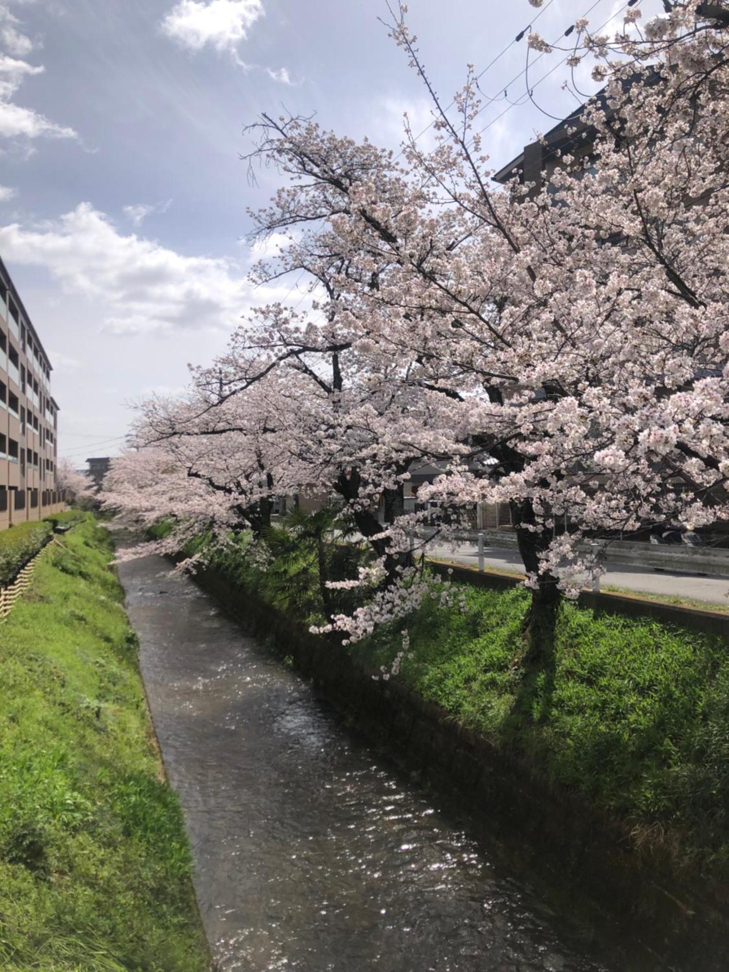 Tsubame-Ya Hotel Kiotó Kültér fotó